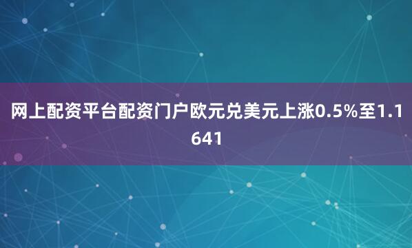 网上配资平台配资门户欧元兑美元上涨0.5%至1.1641