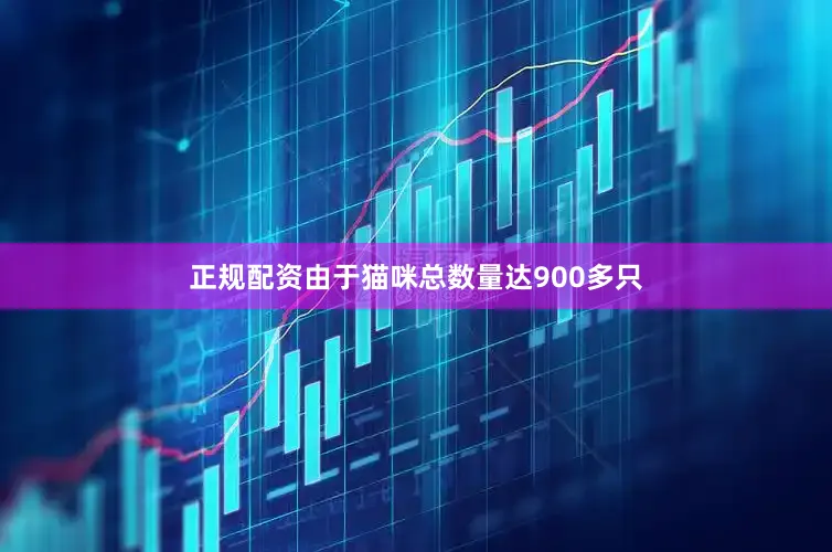 正规配资由于猫咪总数量达900多只