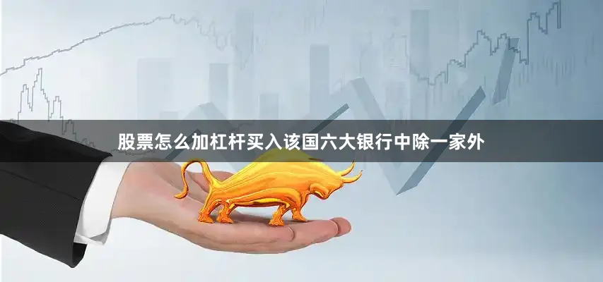 股票怎么加杠杆买入该国六大银行中除一家外